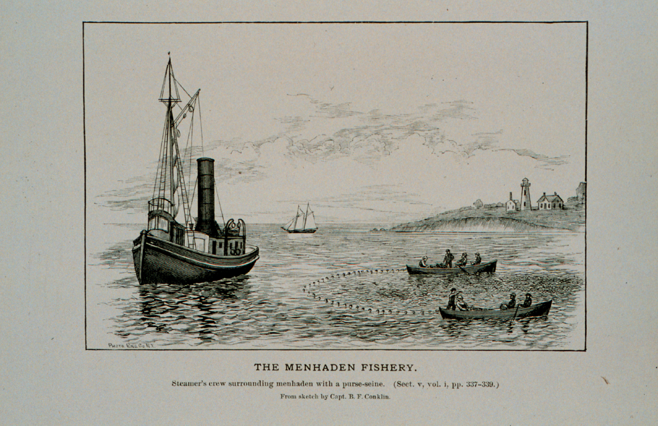 Crew of menhaden steamer surrounding a school with purse-seineFrom sketch by Capt