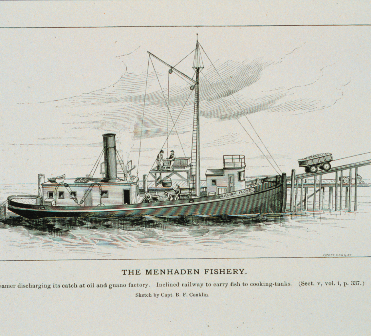 Menhaden steamer discharging its catch at the oil and guano factoryIncline railway to carry fish to cooking tanksFrom a sketch by Capt