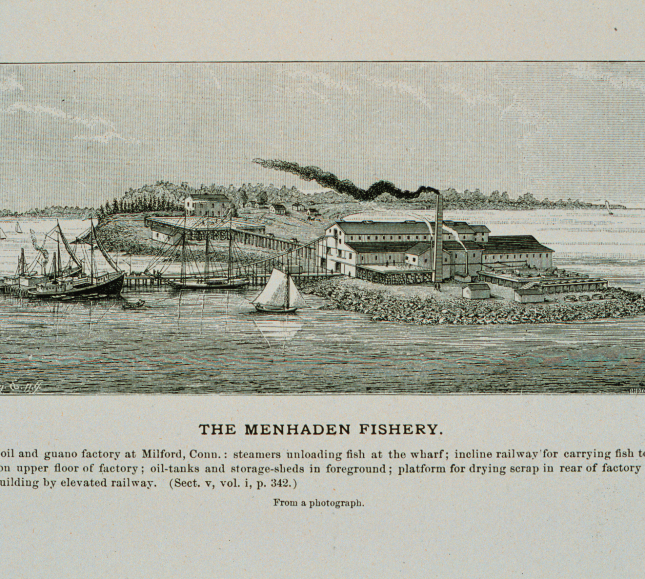 Menhaden oil and guano factory at Milford, Conn