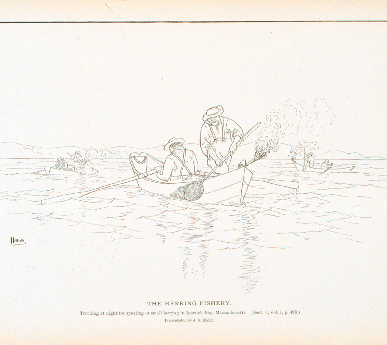 Torching at night for spurling or small herring in Ipswich Bay, MassachusettsFrom sketch by J