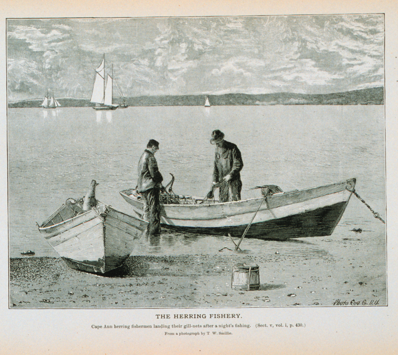 Cape Ann herring fishermen landing their gill-nets after a night's fishingFrom a photograph by T