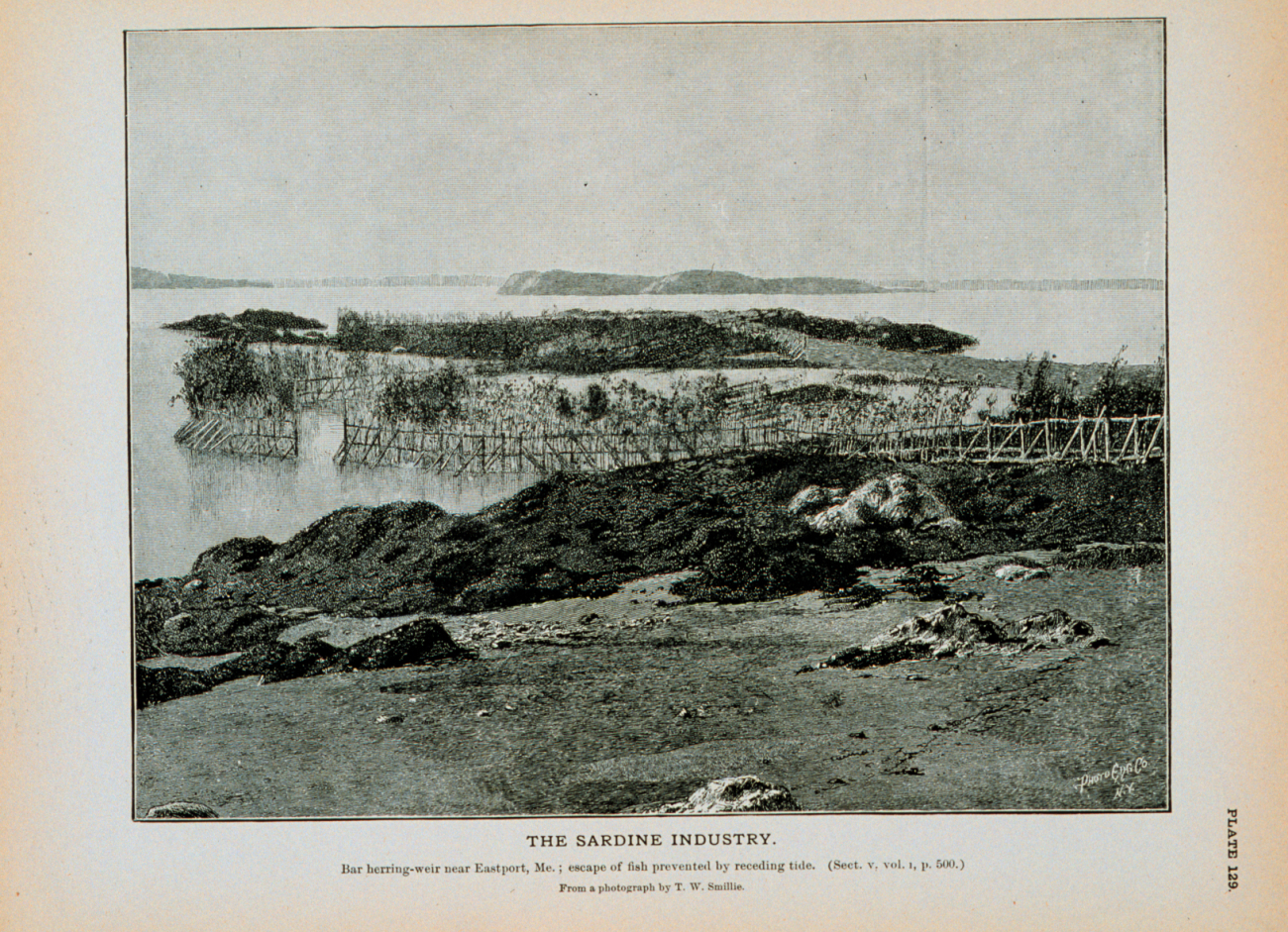 Bar herring weir near Eastport, Maine; escape of fish prevented by receding tideFrom a photograph by T