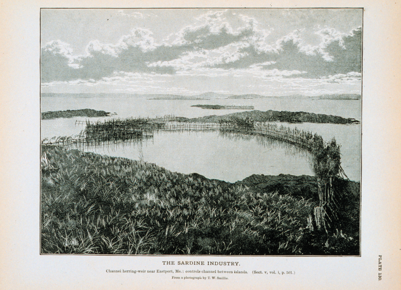 Channel herring weir near Eastport, Maine; controls channel between islandsFrom a photograph by T