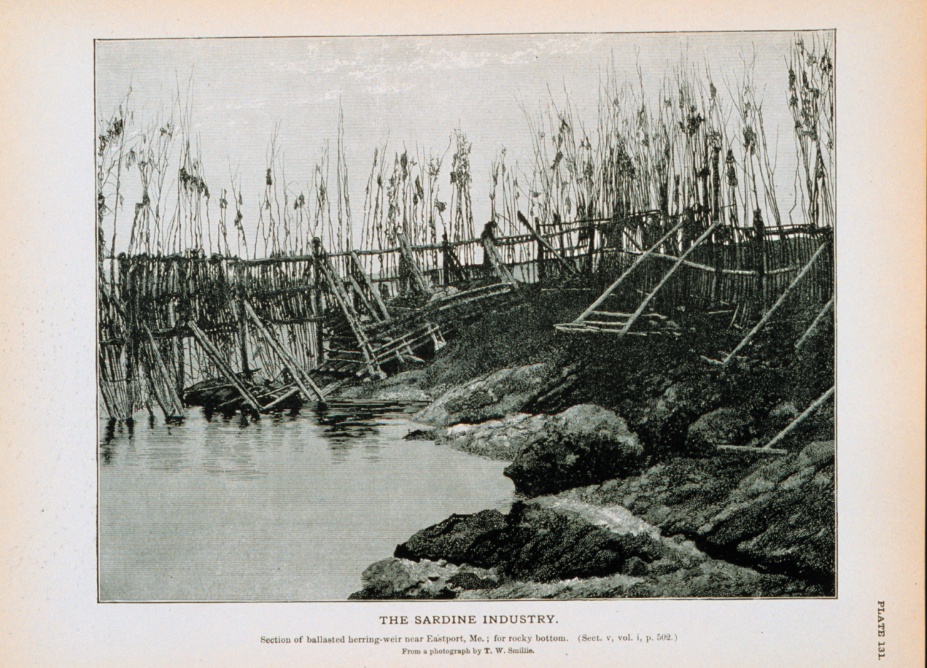 Section of ballasted weir near Eastport, Maine; for rocky bottomFrom a photograph by T