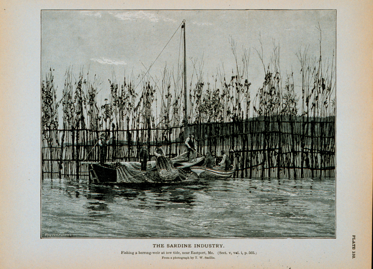 Fishing a herring weir at low tide, near Eastport, MaineFrom a photograph by T