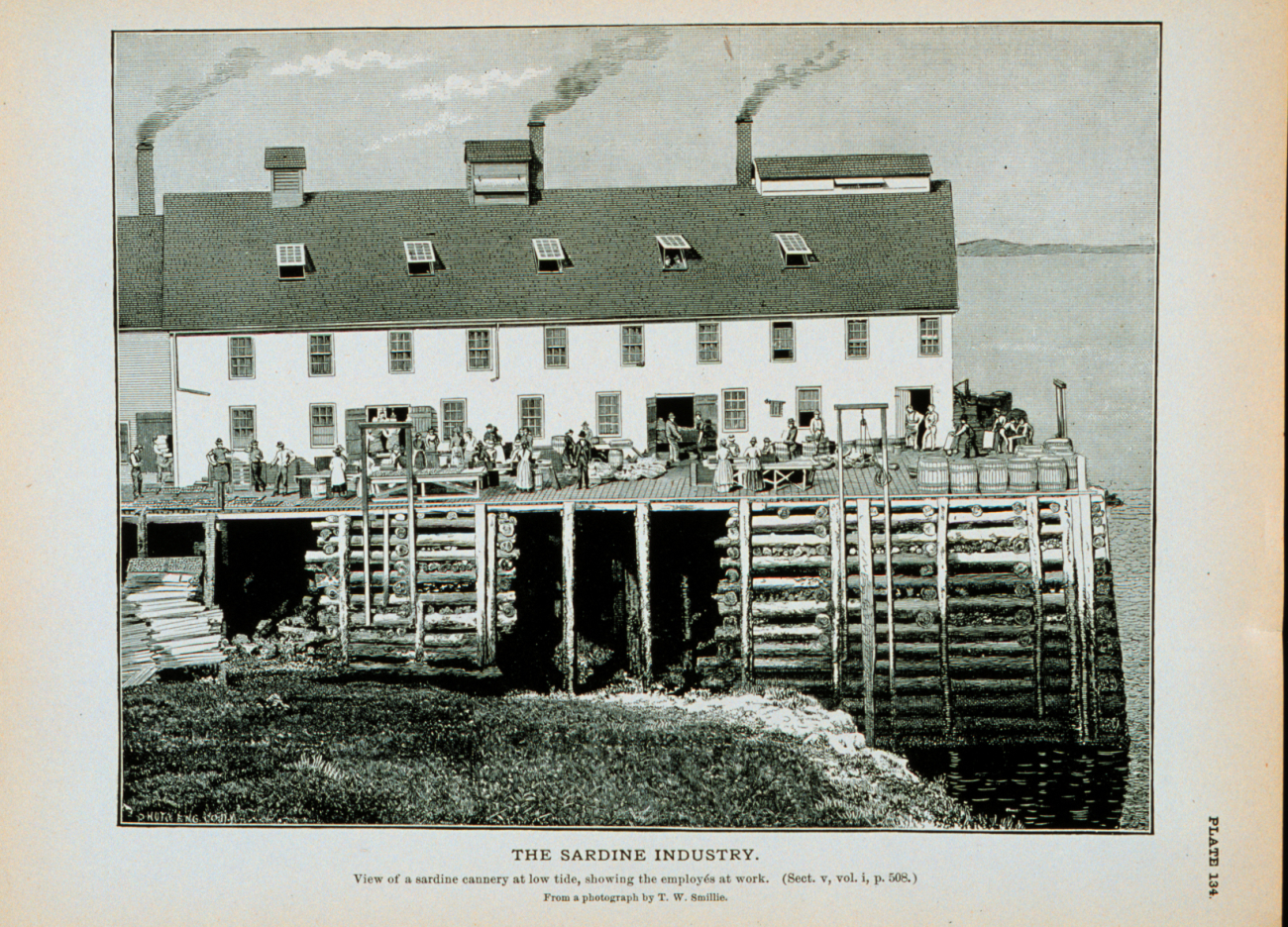 View of sardine cannery at low tide, showing employees at workFrom a photograph by T