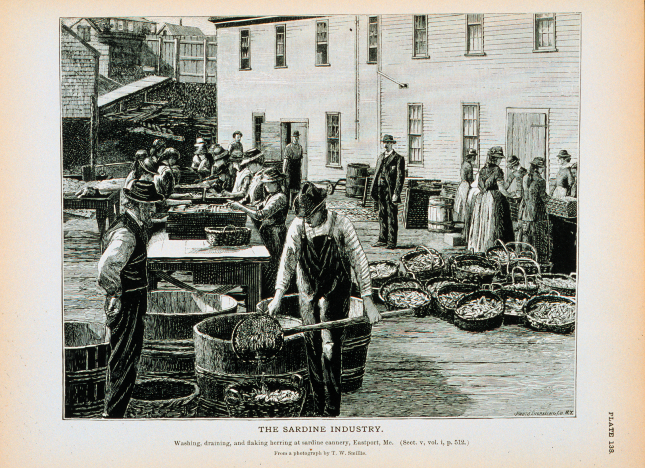 Washing, draining, and flaking herring at sardine cannery, Eastport, MaineFrom a photograph by T