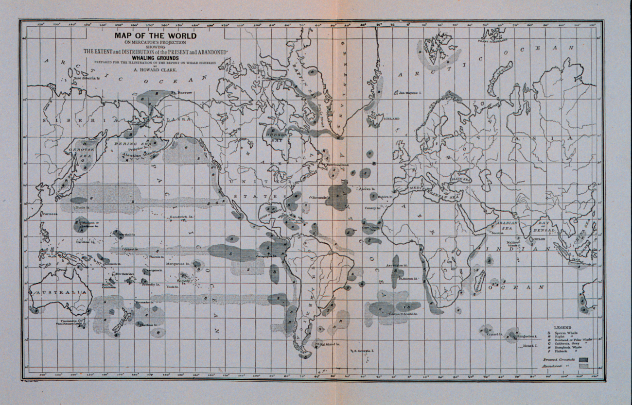 Map of the world on Mercator's projectionShowing the extent and distribution of the present and abandoned whaling groundsPrepared by A