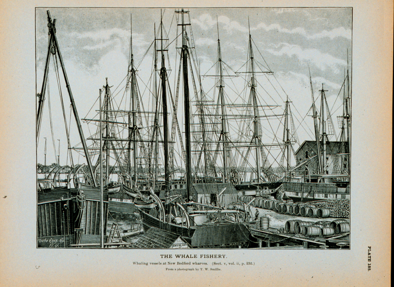 Whaling vessels fitted out at New Bedford wharvesFrom a photograph by T