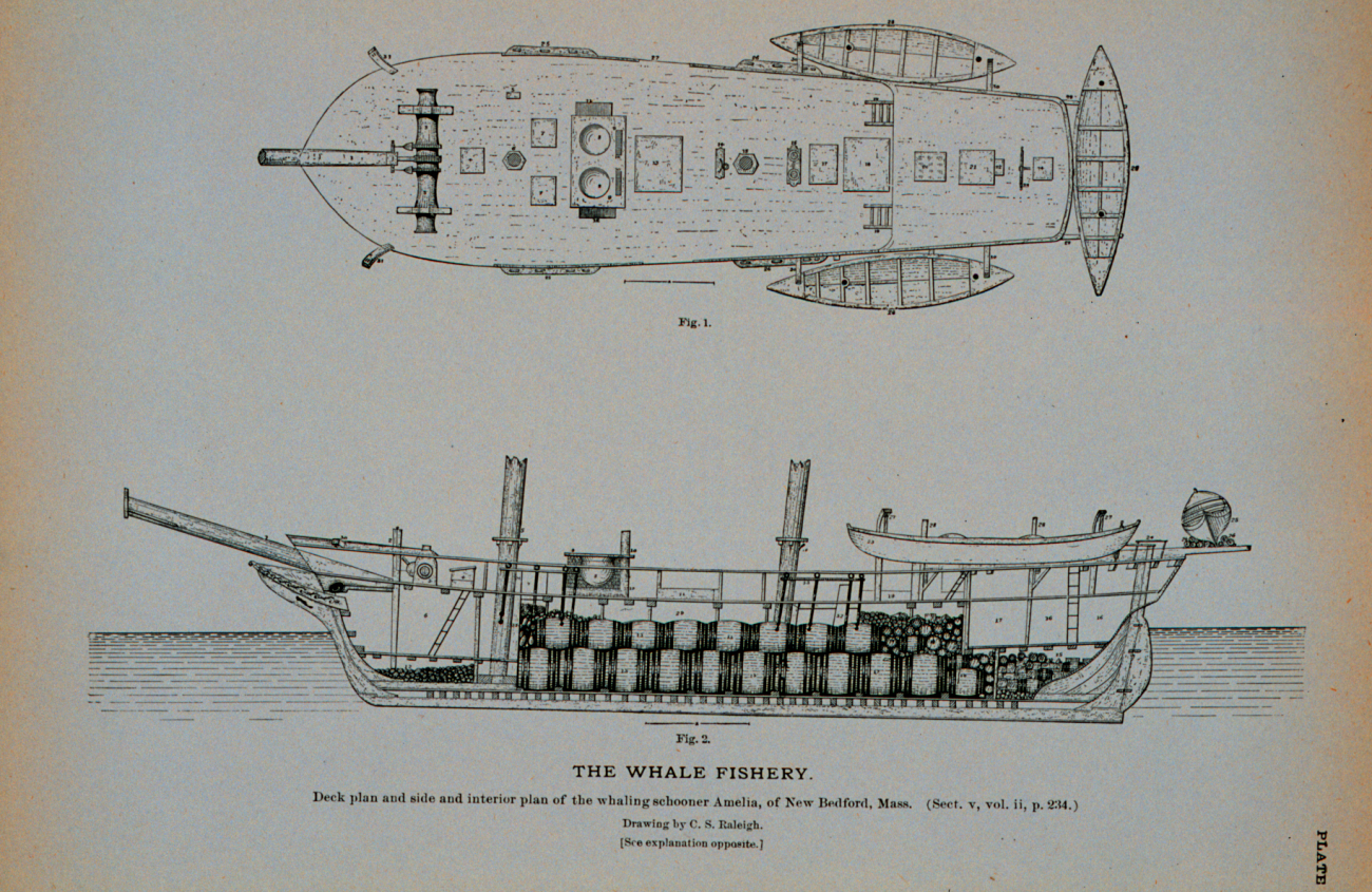 Deck plan and side and interior plan of whaling-schooner AmeliaOf New Bedford, MassachusettsDrawing by C