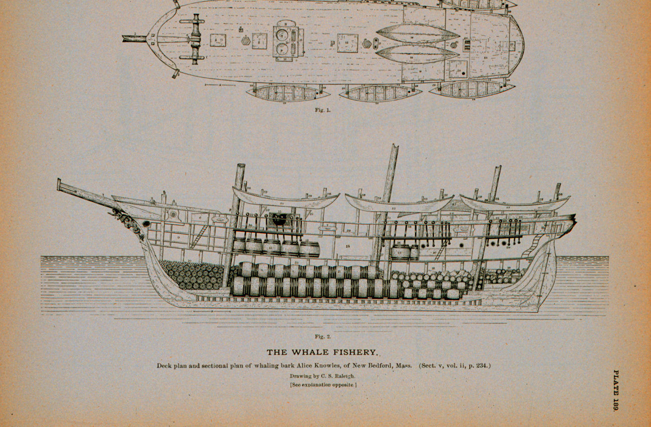 Deck plan and side and interior plan of whaling-bark Alice KnowlesOf New Bedford, MassachusettsDrawing by C