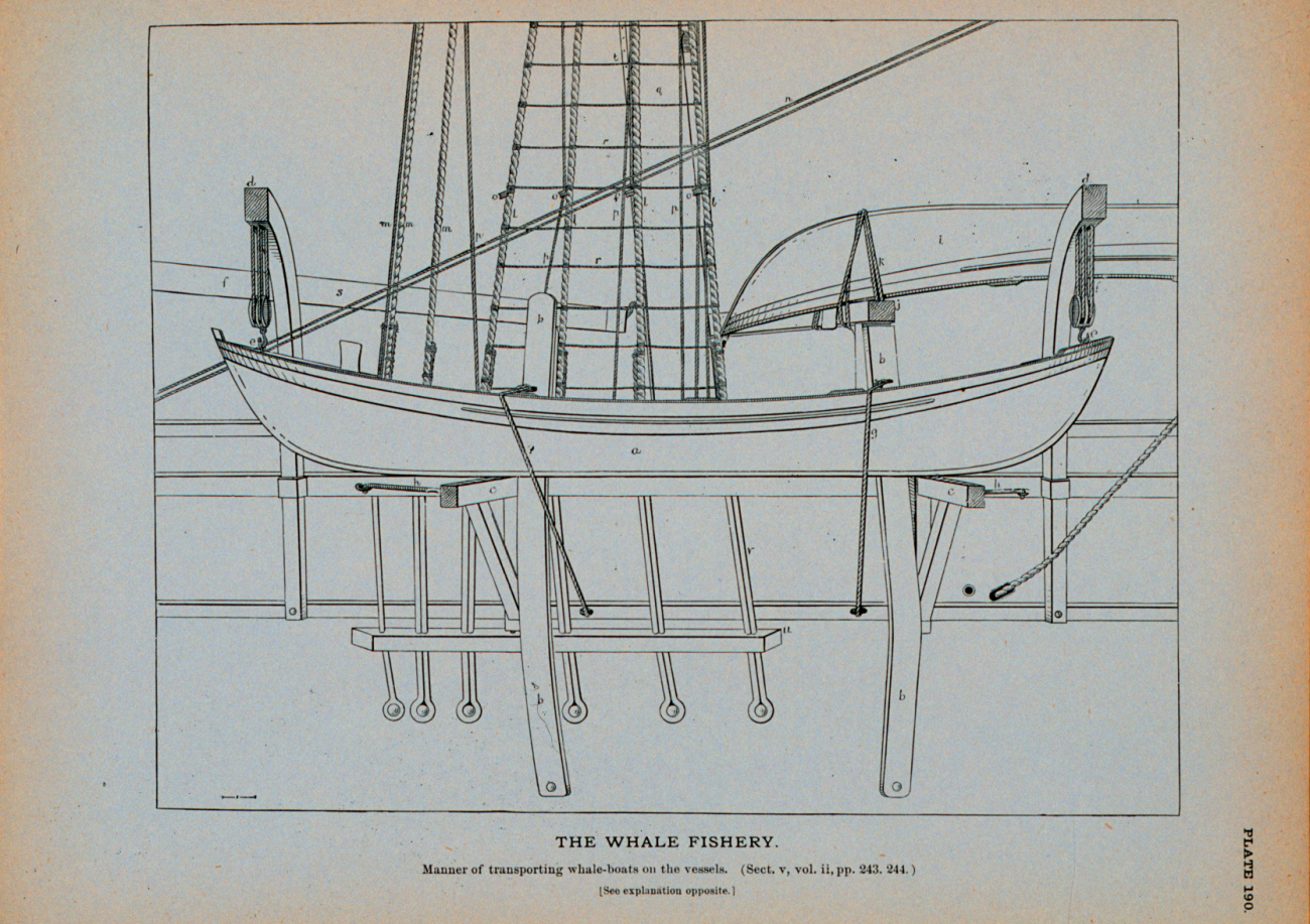 Starboard quarter of a whale-shipShowing the manner of transporting the captain's boat and the spare boats