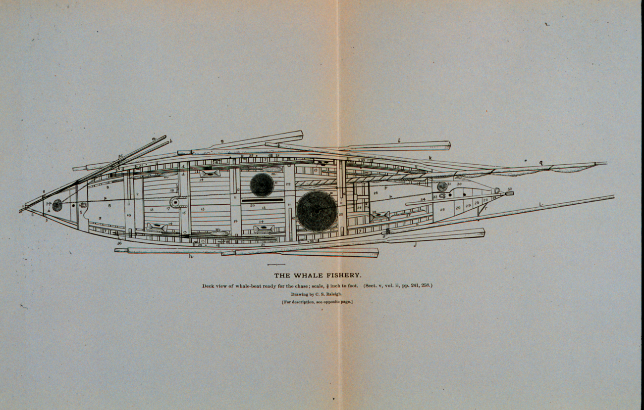 Deck view of whale-boat equipped with apparatus of capture, &c