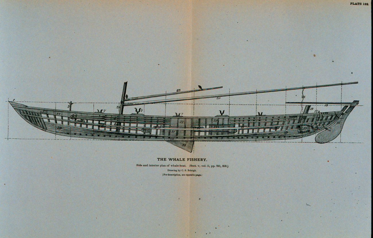 Side and interior plan of whale-boat equipped with apparatus of capture, &c