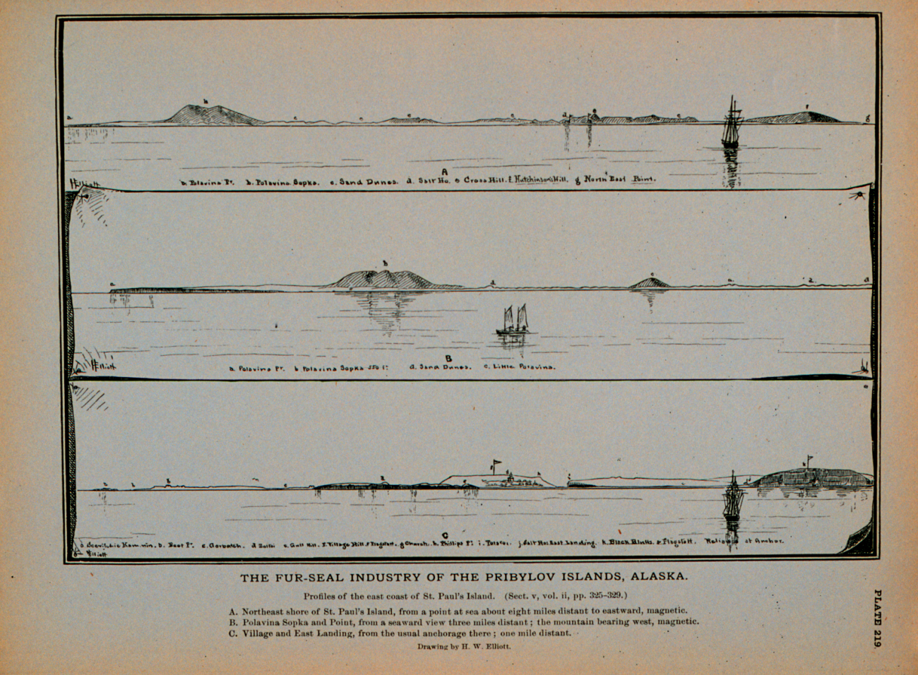 Profiles of the east coast of Saint Paul's IslandDrawing by H