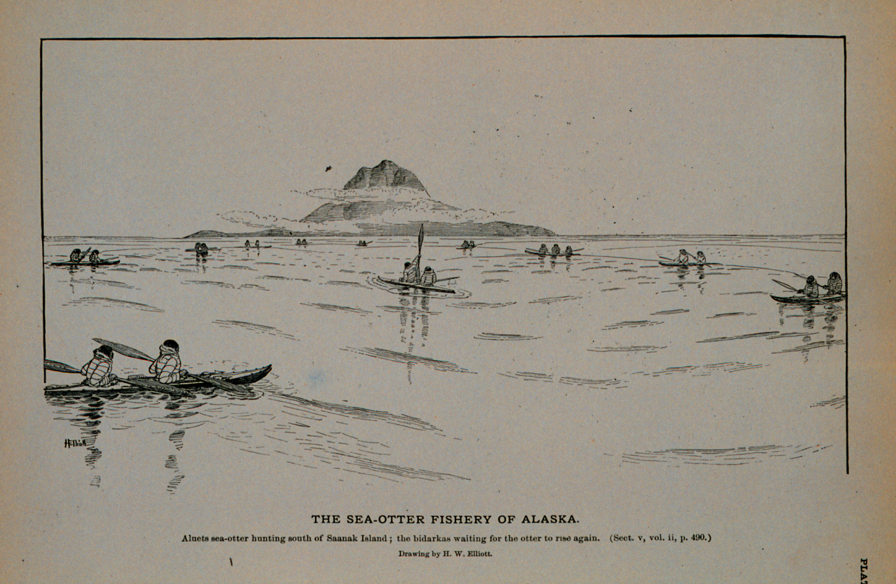 Aleuts sea-otter hunting south of Saanak IslandThe bidarkies waiting for the otter to rise againDrawing by H
