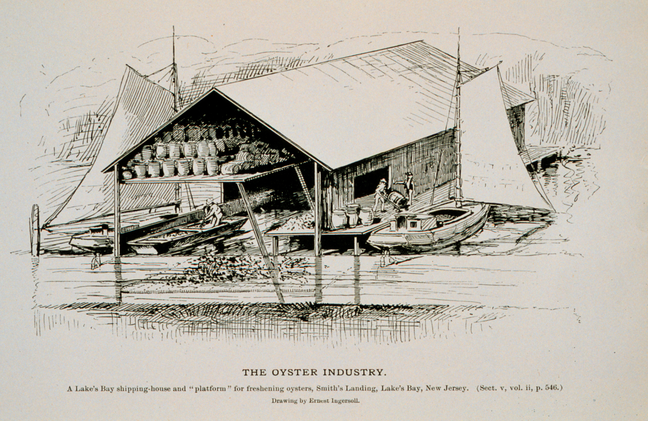 A Lake's Bay shipping-house and platform for freshening oystersSmith's Landing, Lake's Bay, New JerseyDrawing by Ernest Ingersoll