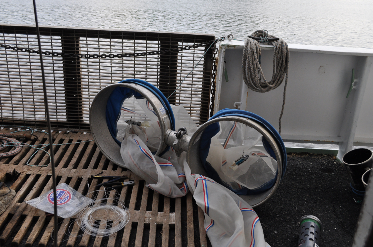 Bongo nets for plankton sampling ready for deployment on the NOAA ShipMILLER FREEMAN