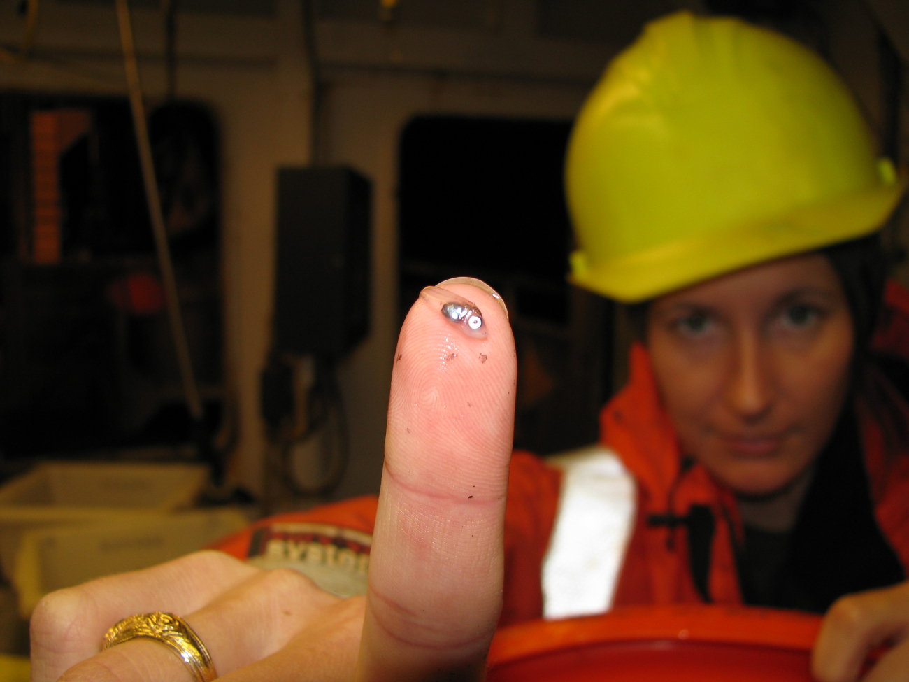 Teensy fish larva on tip of finger