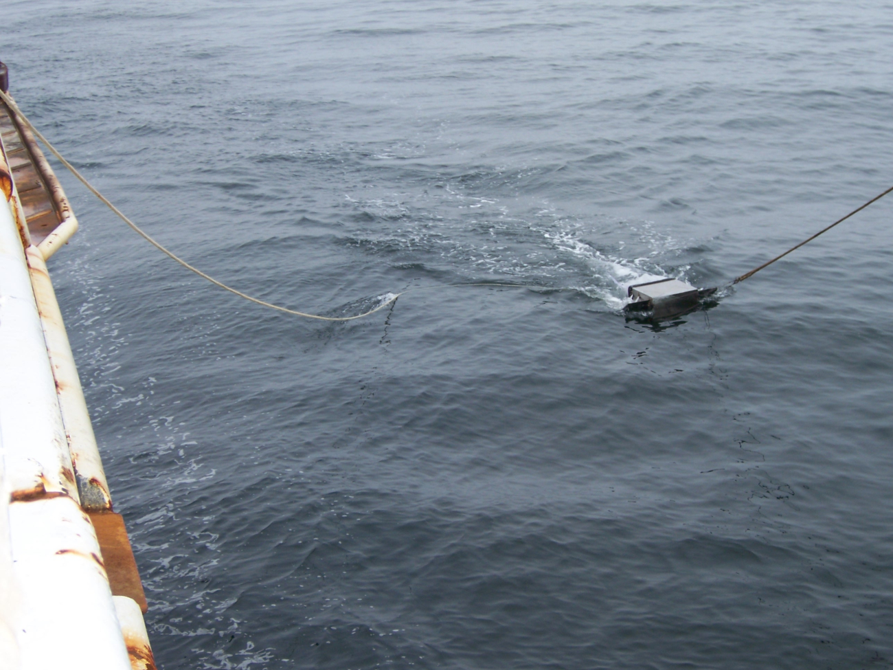 Manta surface tow net deployed