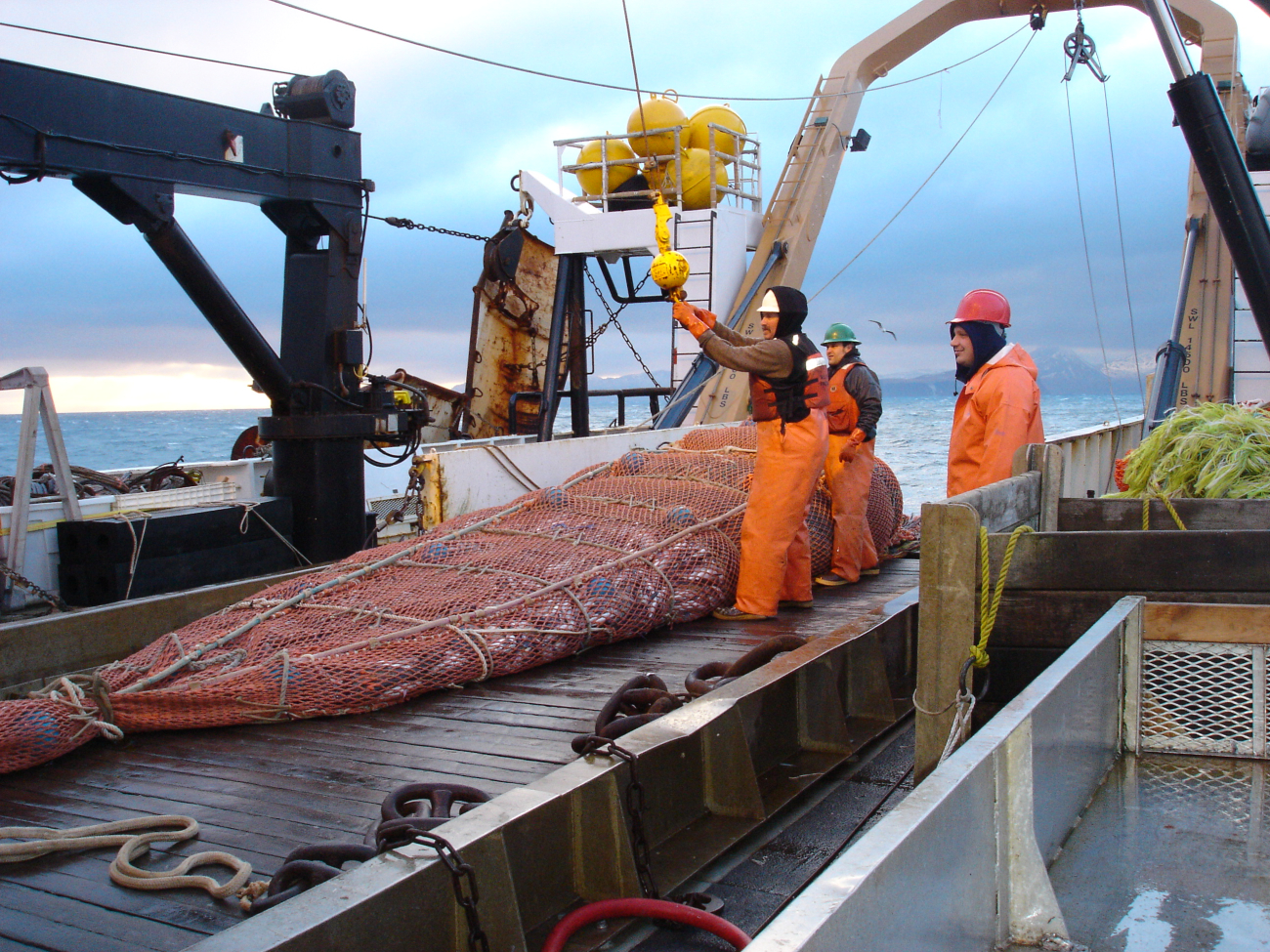 A full cod end of the trawl net