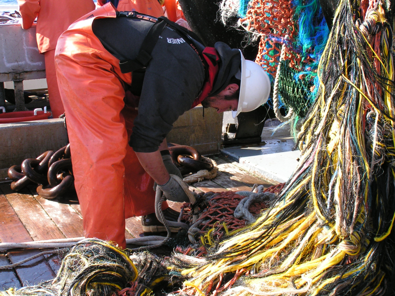 The cod end of the net with tangles for ensnaring bottom life
