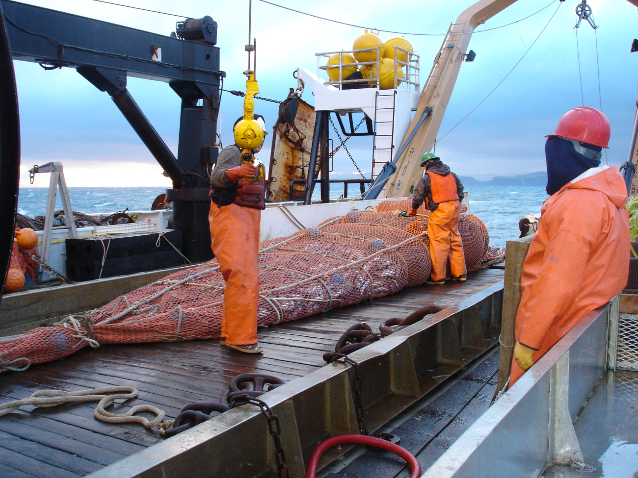 Preparing to empty a full cod end of the trawl