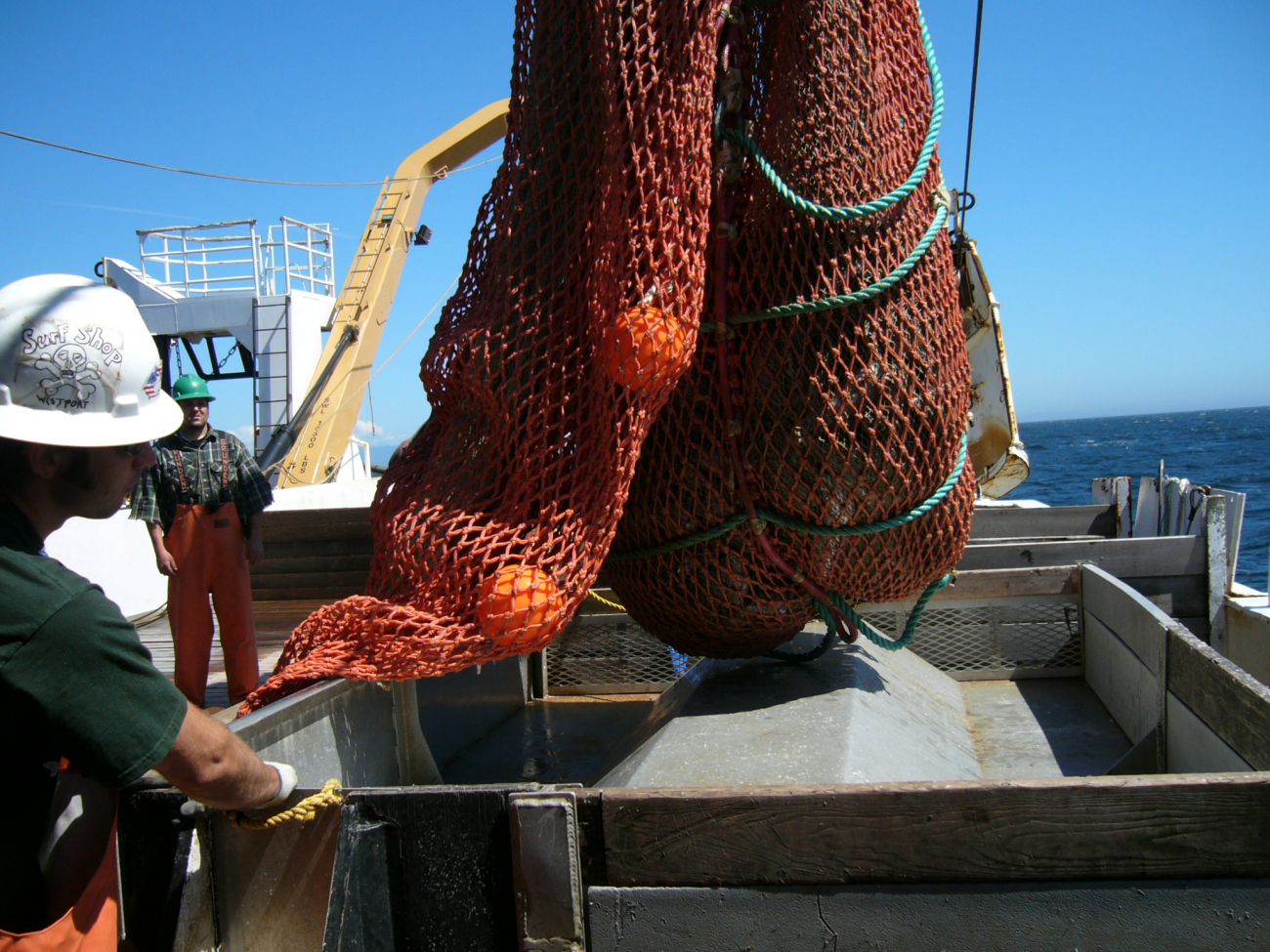 Preparing to empty the cod end of the trawl into a sorting bin