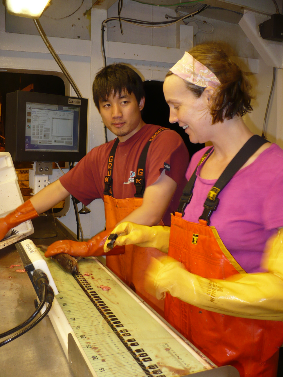 Measuring fish on the NOAA Ship MILLER FREEMAN