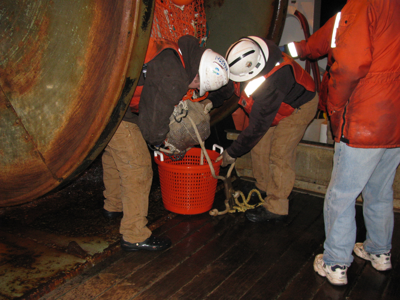 Emptying the cod end of a trawl into a small sorting basket