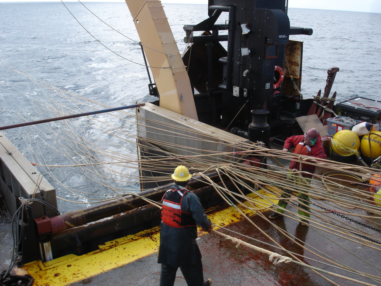 Hauling back surface CANtrawl rope trawl