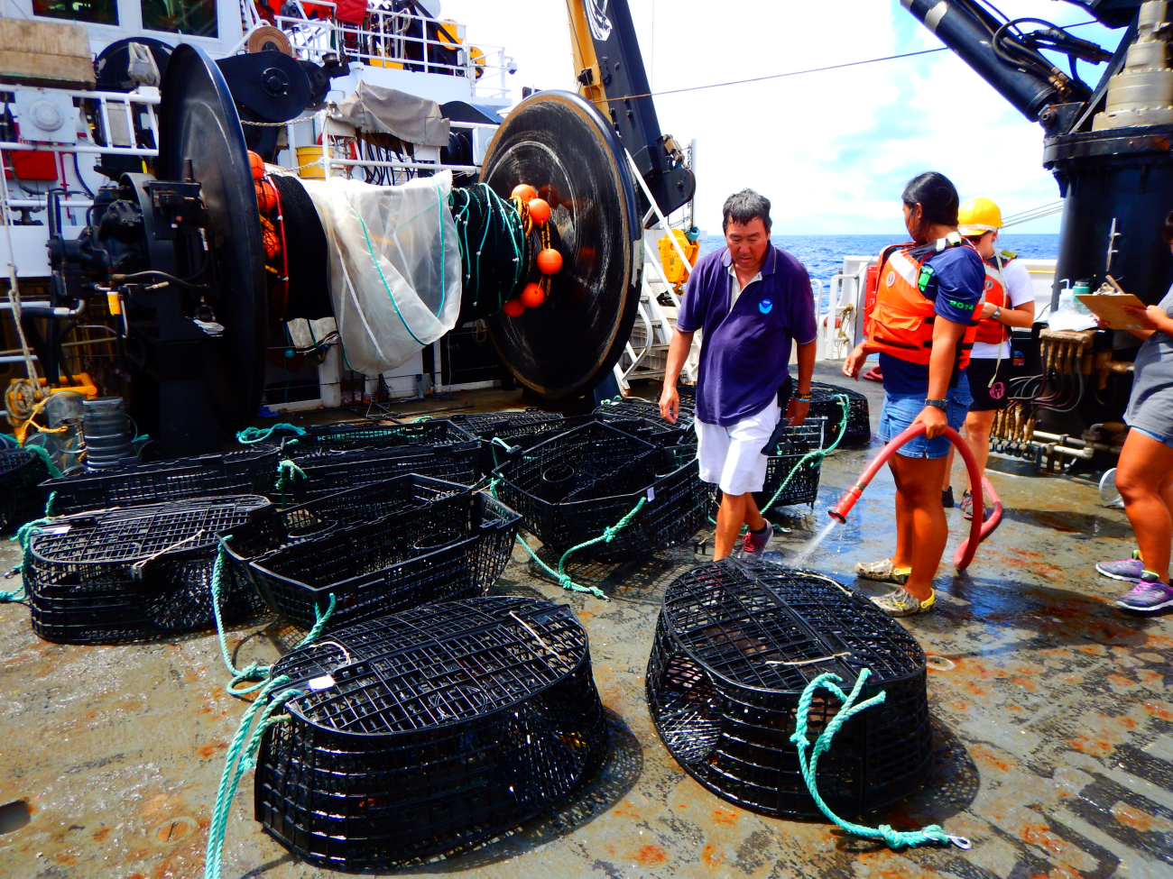 Retrieving Hawaiian Lobster Traps