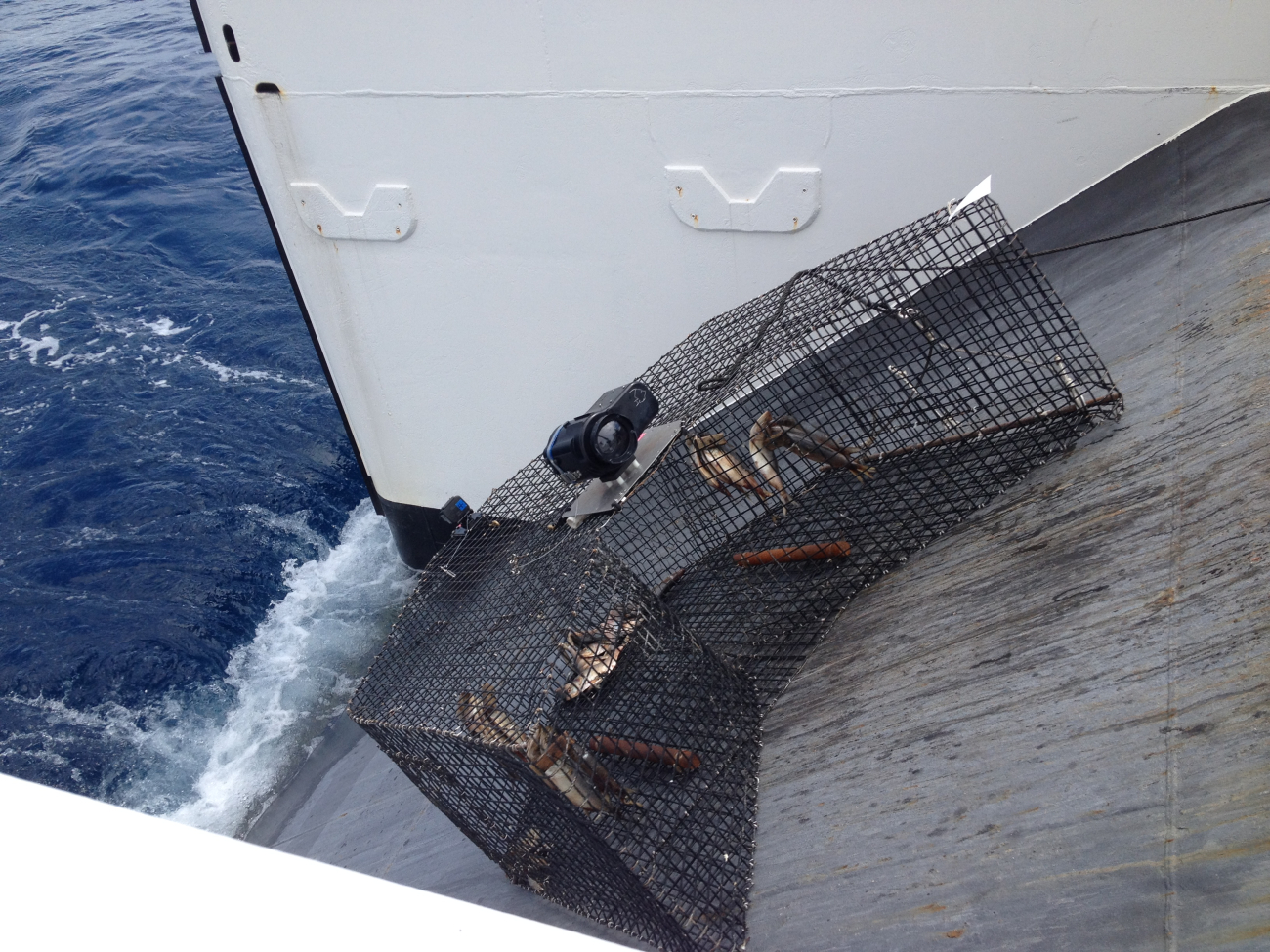 Baited chevron fish trap going down the stern ramp and into the water