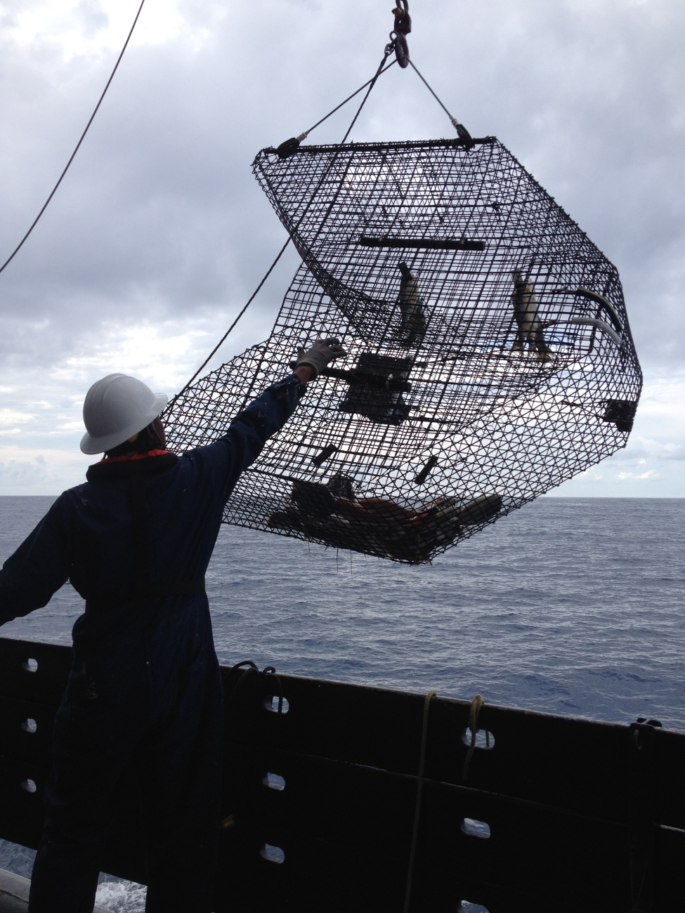 Retrieving a chevron fish trap on the NOAA Ship PISCES