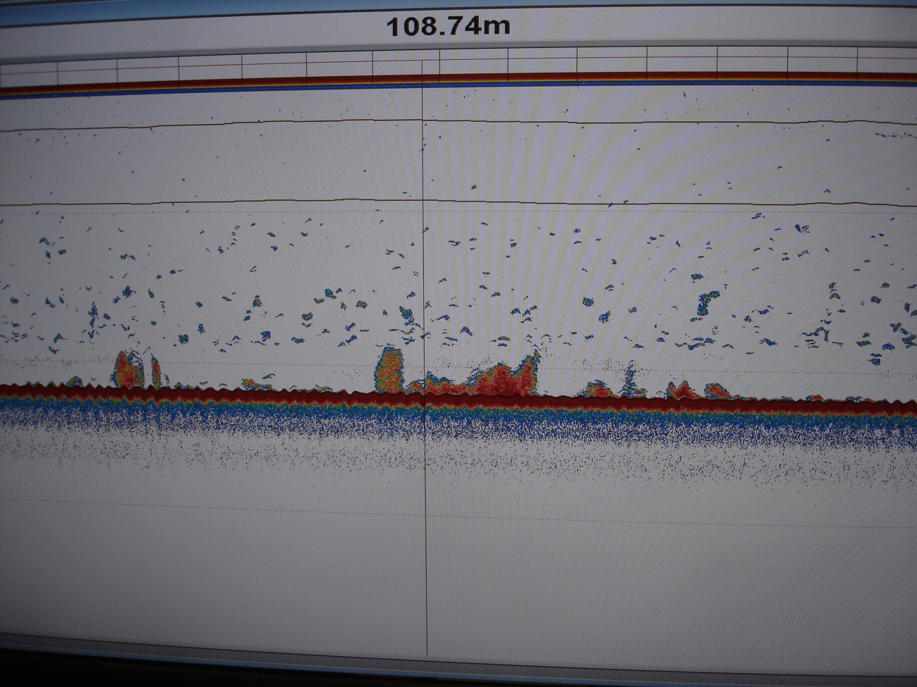 Simrad EK-60 hydroacoustic display of walleye pollock (mounds on sea bottom)at 108