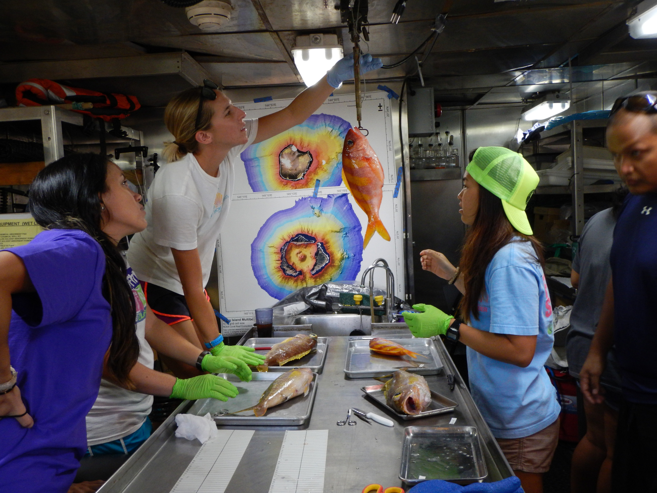 Weight and otolith collection CNMI reef fish