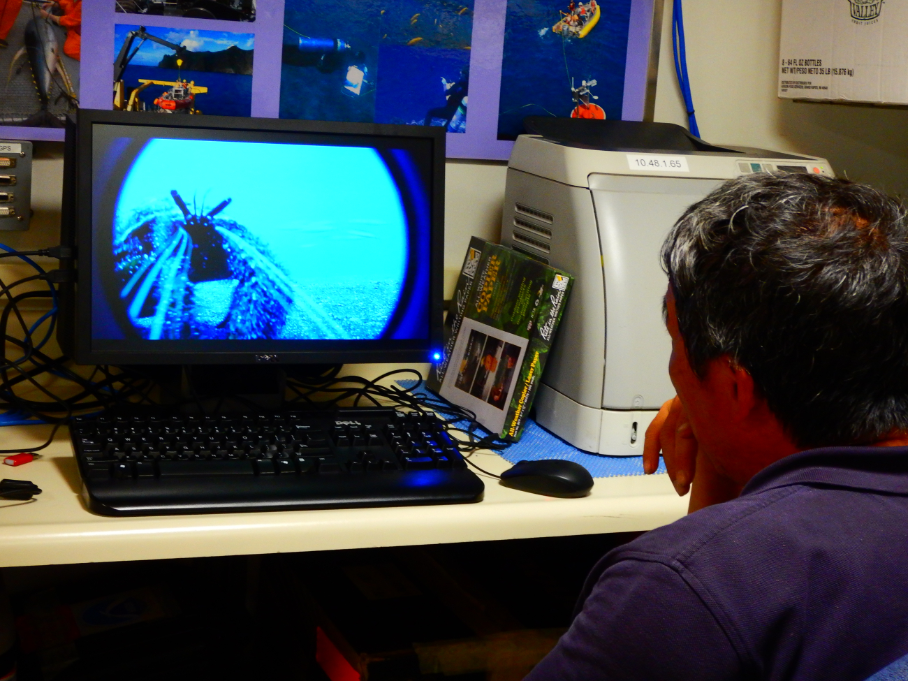 Reviewing HD movie capture from Large Fish Trap (hermit crab)