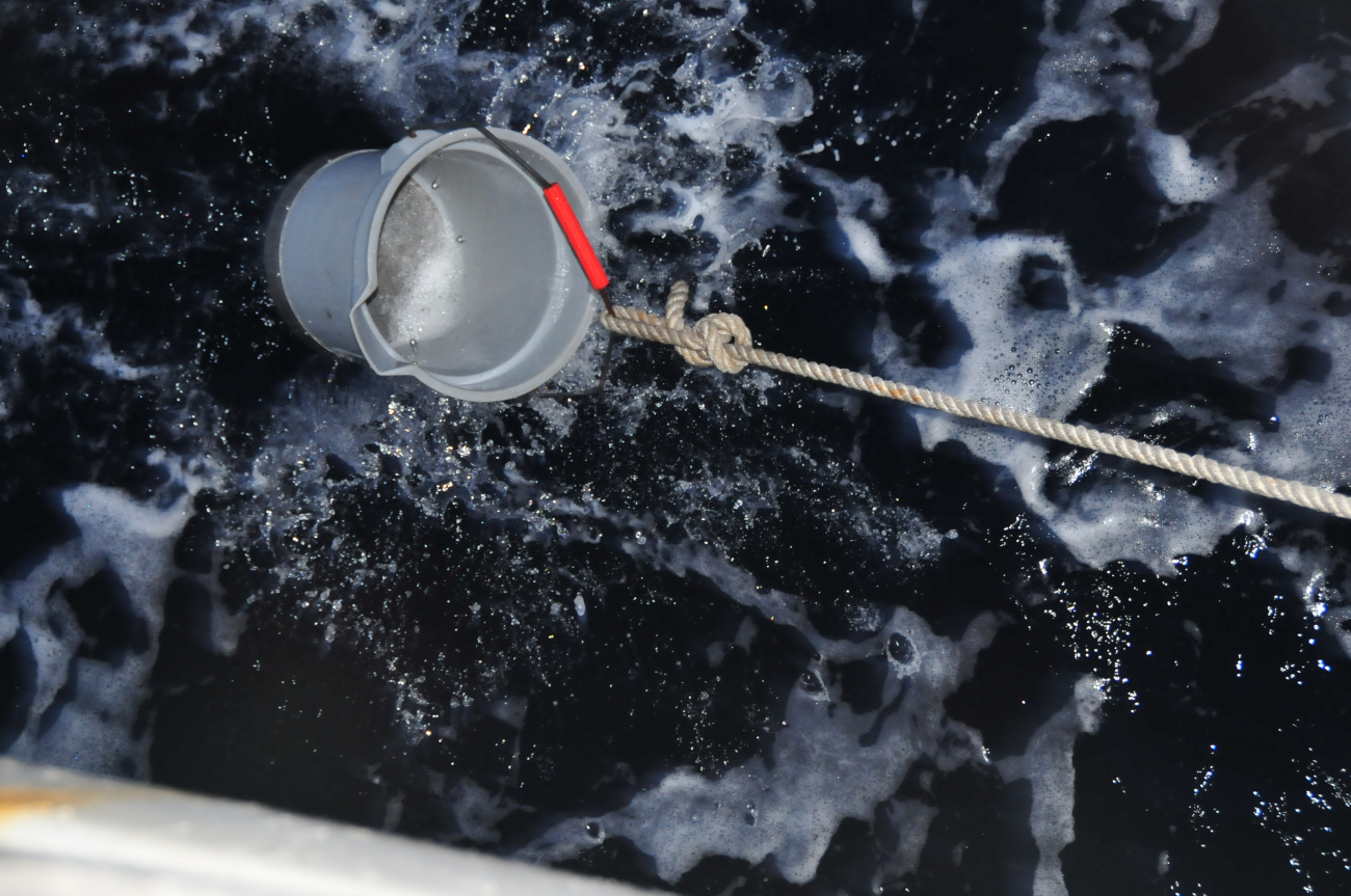 Straining bucket to capture zooplankton