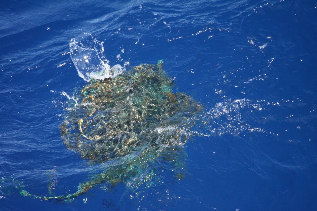 This tangled mass is enclosing a turtle illustrating the dangers of ghost netsand marine debris to ocean life