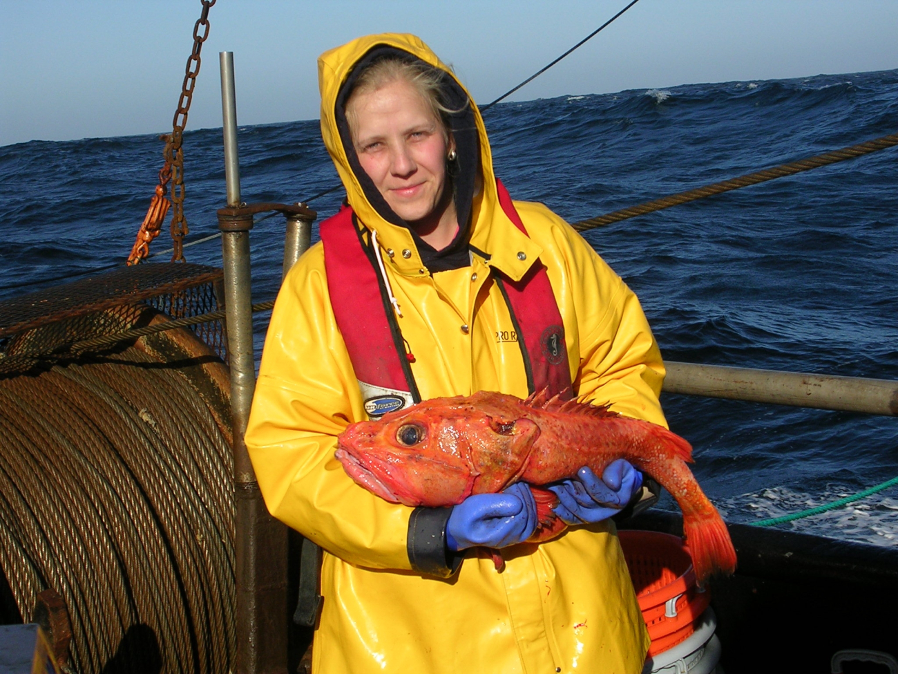 NOAA Fisheries employee Vanessa Tuttle poses with a largeShortspine thornyhead (Sebastolobus  alascanus) caught during ground fishtrawl survey aboard the F/V MS