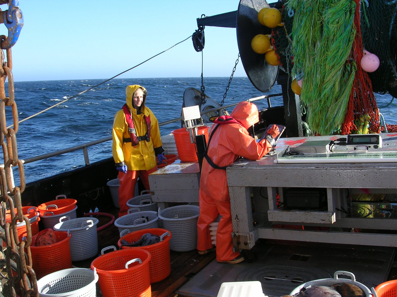NOAA Fisheries employees Vanessa Tuttle (left) and Suzanne Romain enter catchdata from a tow during the groundfish survey caughtduring groundfish trawl survey aboard the F/V MS