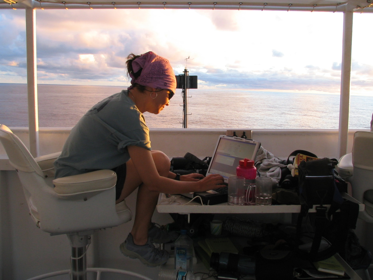McGuire entering sighting info on Pacific Islands Science Centercetacean abundance survey aboard the NOAA ship Oscar Elton Sette