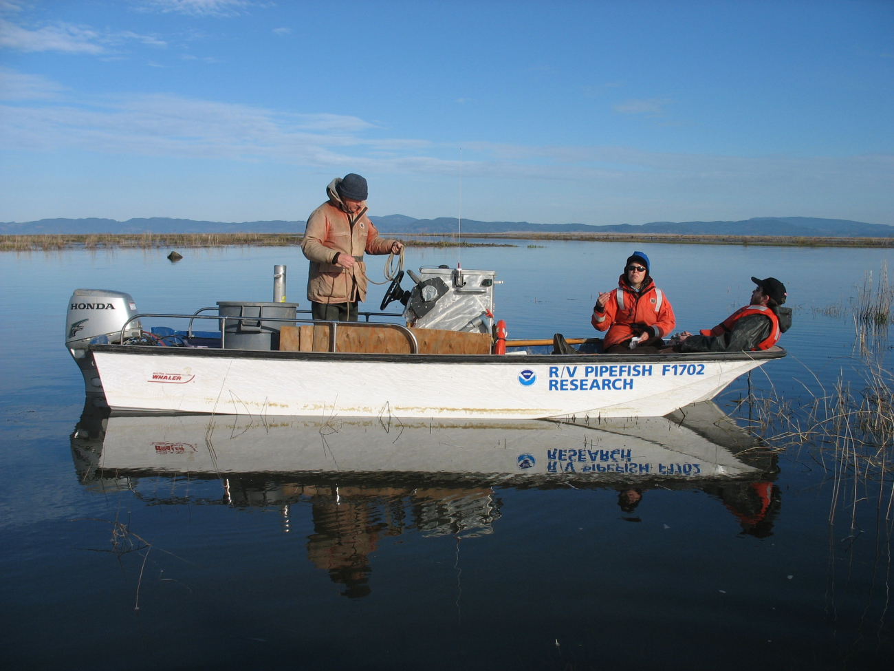 Columbia River Estuary seine sampling for juvenile Chinook salmon for mark-recapture to evaluate residency time