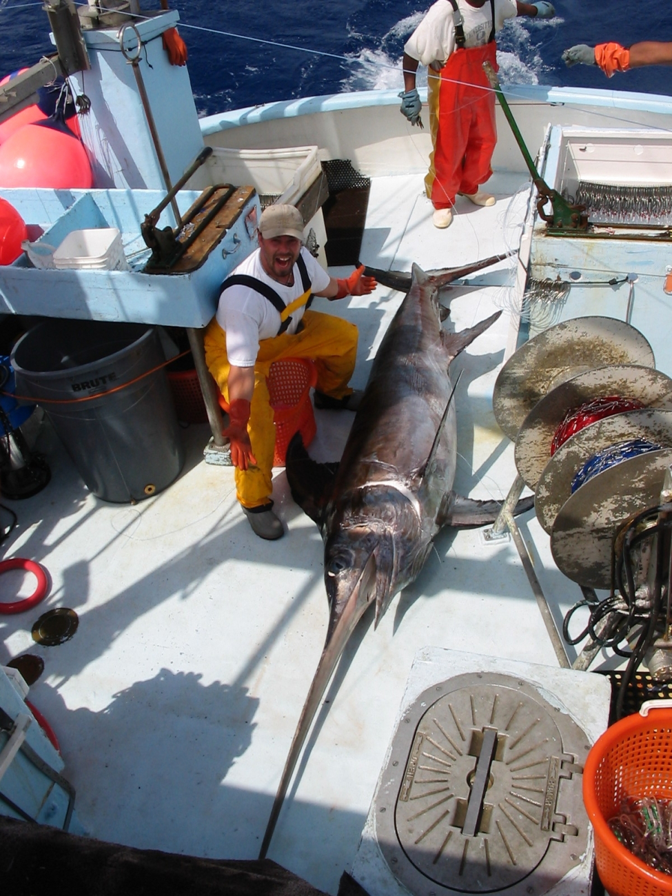 Large swordfish on deck during long-lining operations