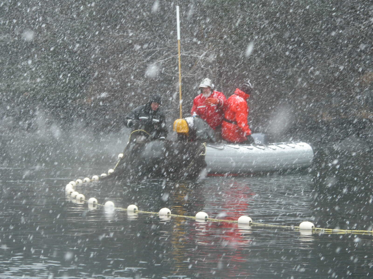 Seining from a small boat in a snow squall