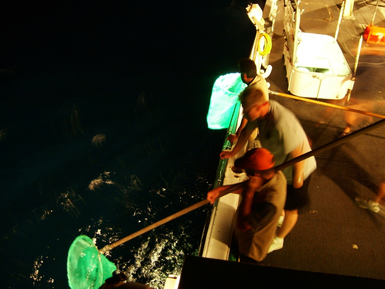 The time-honored scientific sampling method of dip-net collecting of the seacreatures attracted to the deck lights of the NOAA Ship DAVID STARRJORDAN while the ship is not underway