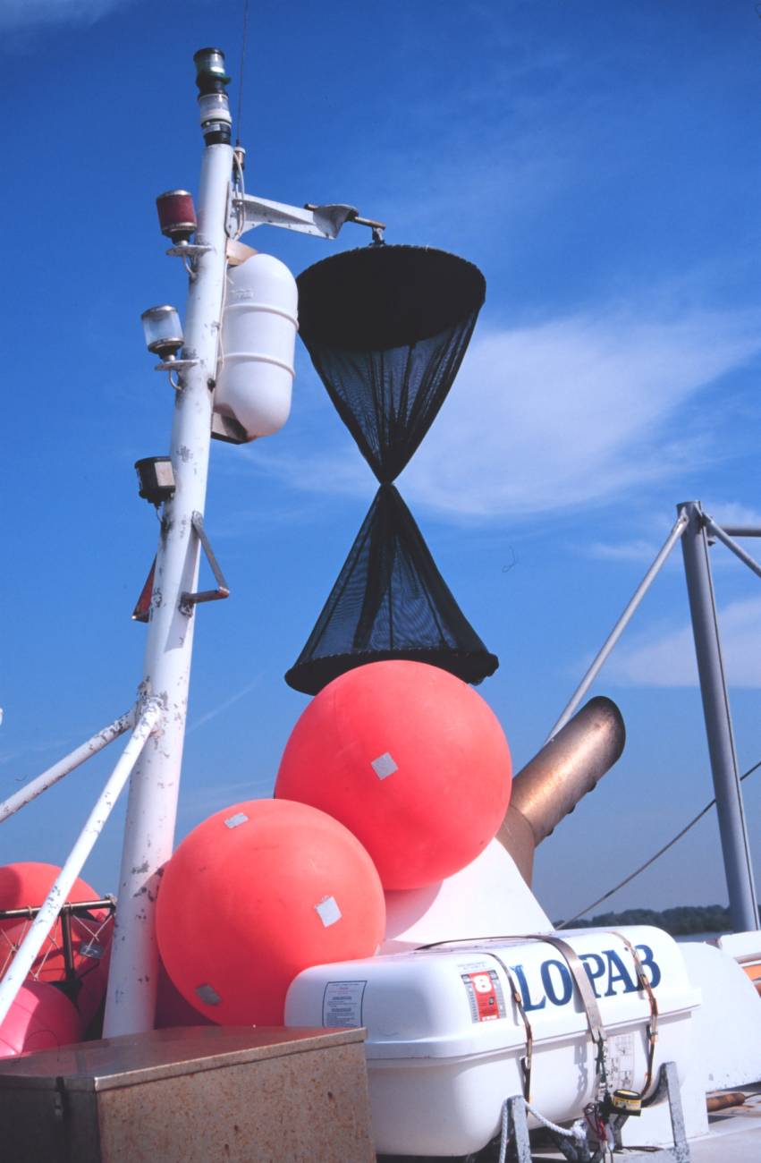 The triangular cones are daymarks to indicate vessel is fishing