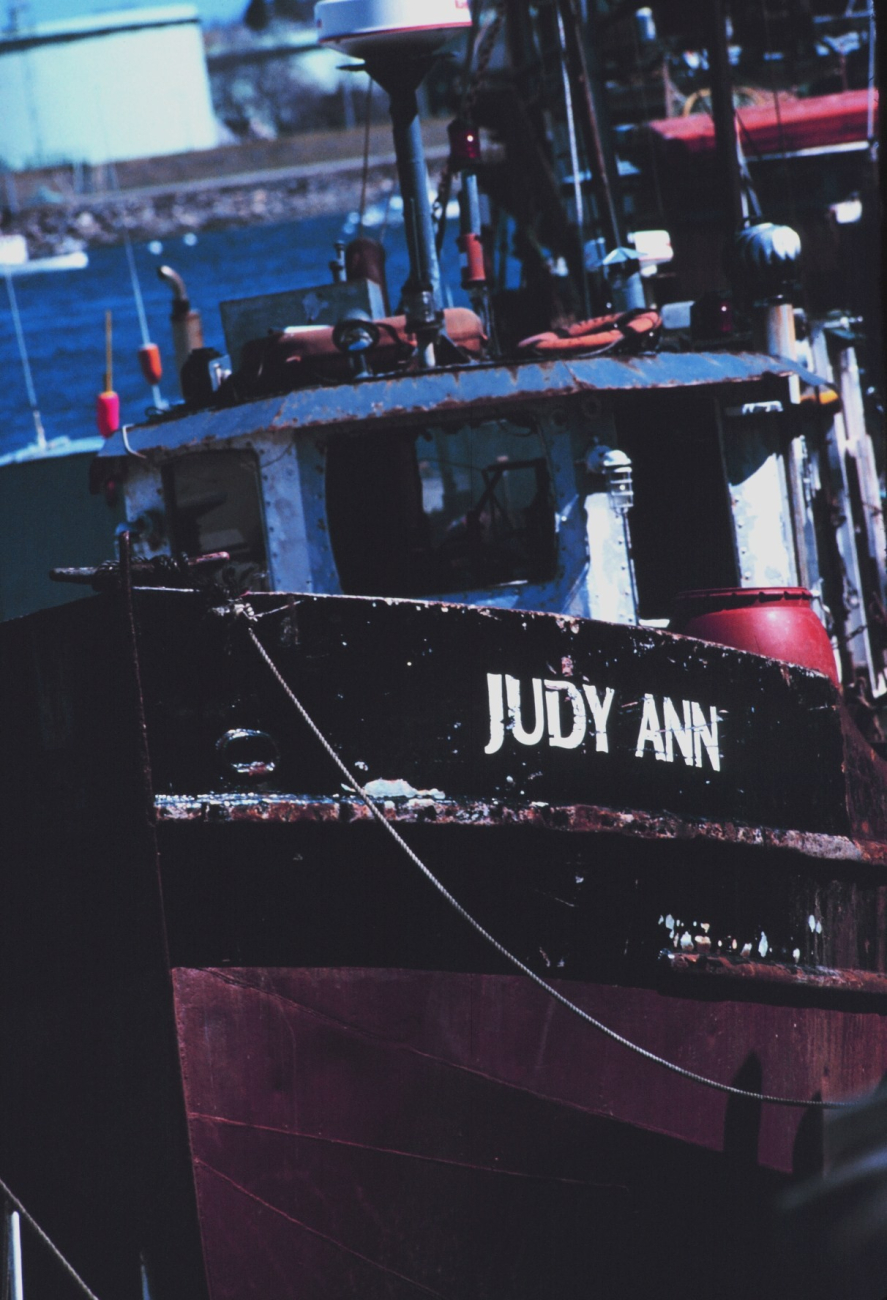 The trawler JUDY ANN