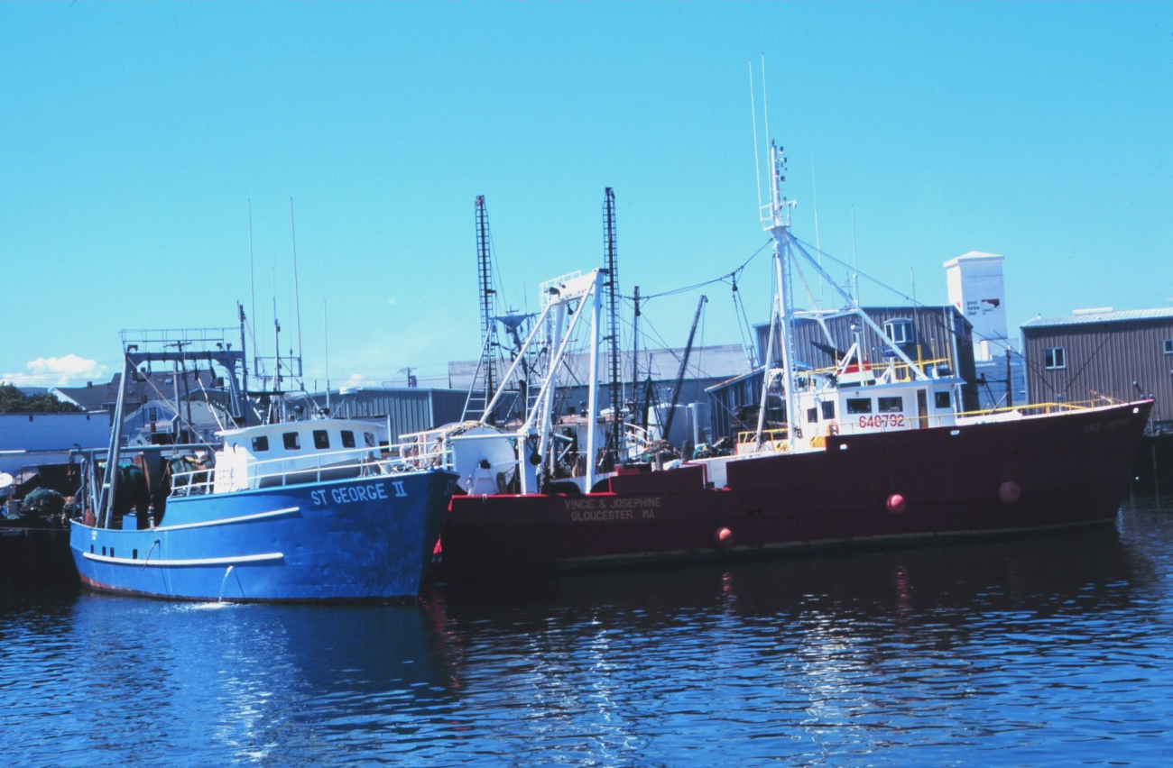 Trawlers in port