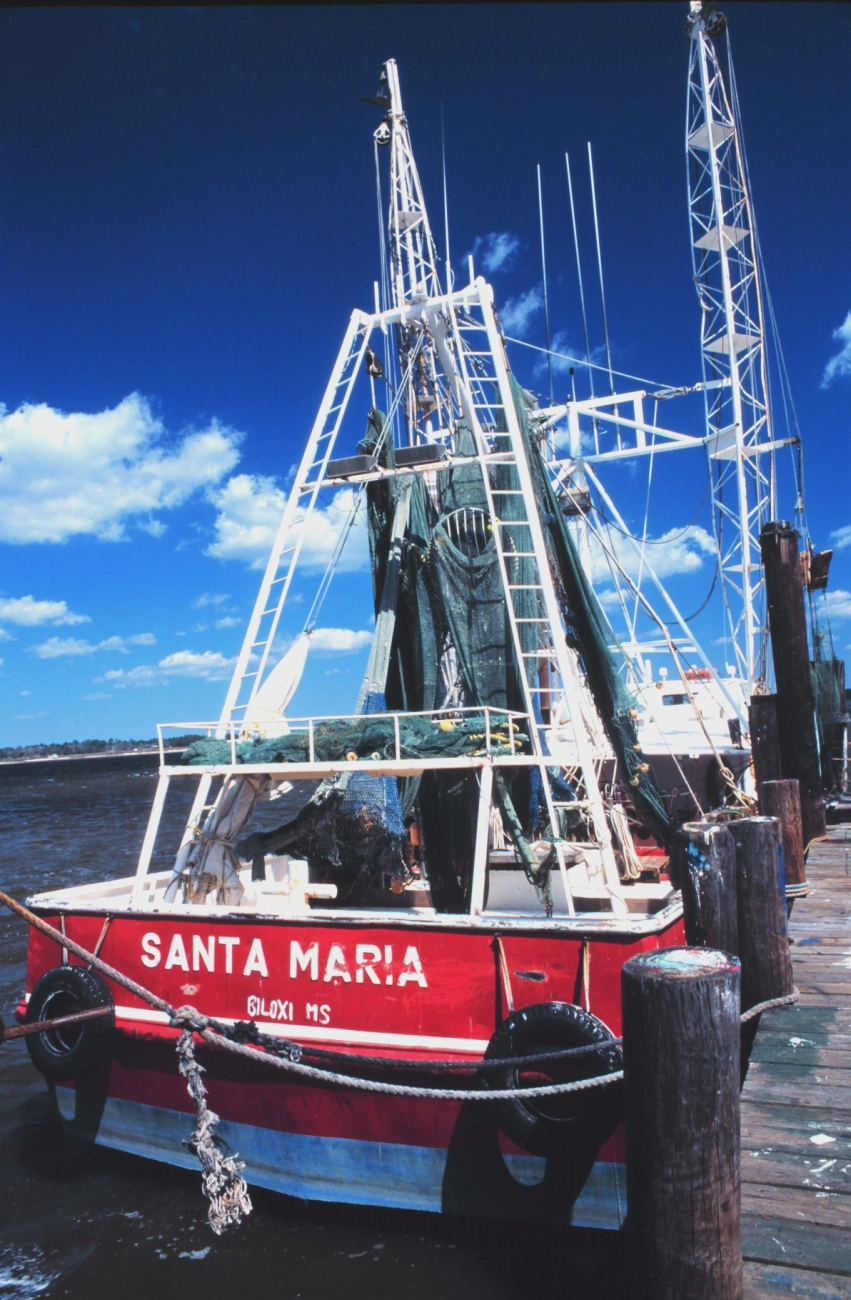 Some of the shrimp trawlers based at Biloxi